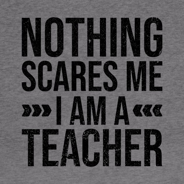 Nothing Scares Me Im a Teacher by Rishirt